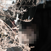 Die Tomorrow - Single