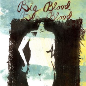 She Said Nothing by Big Blood