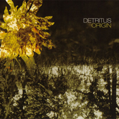 Sense by Detritus