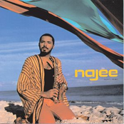 Can't Hide Love by Najee