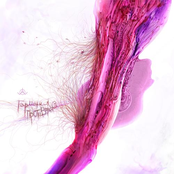 Гармония Противоречий