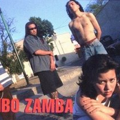 limbo zamba