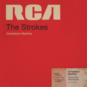 The Strokes - Call It Fate, Call It Karma