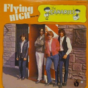 Flying high with the Canaries