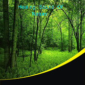 Healing Sound of Nature