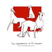 The Characteristics of My Hindsight