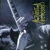 Live in Switzerland 2019