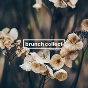 Brunch Collect: Comfort Zone