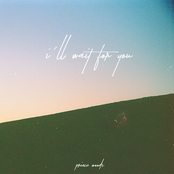 I'll Wait For You