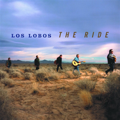 Somewhere In Time by Los Lobos