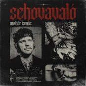 Sehovavaló