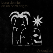 Luna de miel en un pozo negro