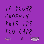 If You're Choppin This It's Too Late