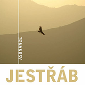 Jestřáb