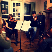 videri string quartet