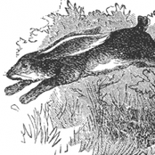 John Roach & Bud Flanagan & Chesney Allen