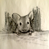 Mouse Fitgerald Presents: Living Like A Mouse