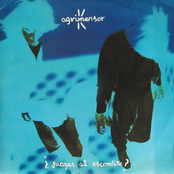 ¿Juegas Al Escondite?