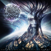 Shroud Of Indecency by Evolution Of Discord