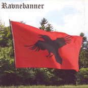 Ravnebanner