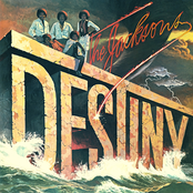 The Jacksons: Destiny