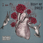 Best of 2013