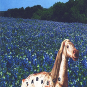 Dryer Than You'll Ever Be