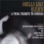 Smells Like Bleach: A Punk Tribute To Nirvana