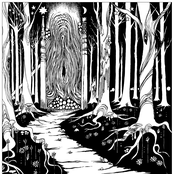 Land Beyond The Forest