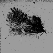 Constructing A Mental Breakdown