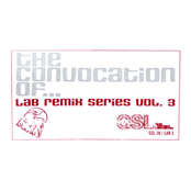 Lab Remix Series Vol. 3