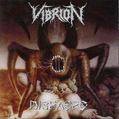 Metamorphosis by Vibrion