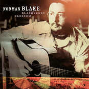 Lonesome Jenny by Norman Blake