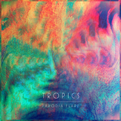 Celebrate by Tropics