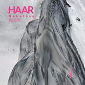 Haar