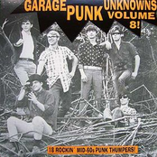 Garage Punk Unknowns, vol. 8