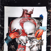 Transgressive Collective IV