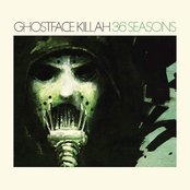 36 Seasons  Artwork