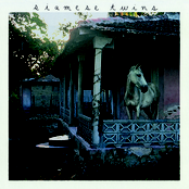 In A Box b/w Stutter 7"