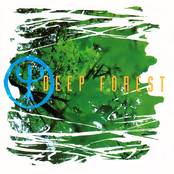 deep forest