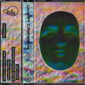 Couples Counseling: COUPLES COUNSELING