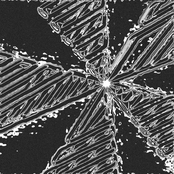 In Wake of a Dying Nation