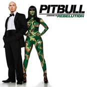 Pitbull: Pitbull Starring In Rebelution