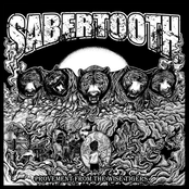 Sabertooth: Provement From The Wise Tigers