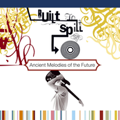 Trimmed And Burning by Built To Spill