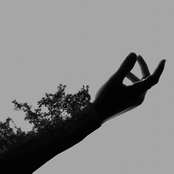 bulletsbetweentongues: Fragility