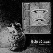 Transgresión