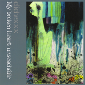 My broken heart unsearchable