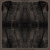Celestiial / Blood of the Black Owl (Split)