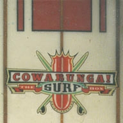 Cowabunga! The surf box